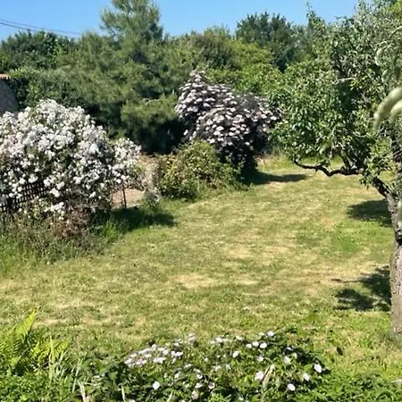 Le Logis Cholet 49300 Lieu Exceptionnel En Famille Ou Amis *